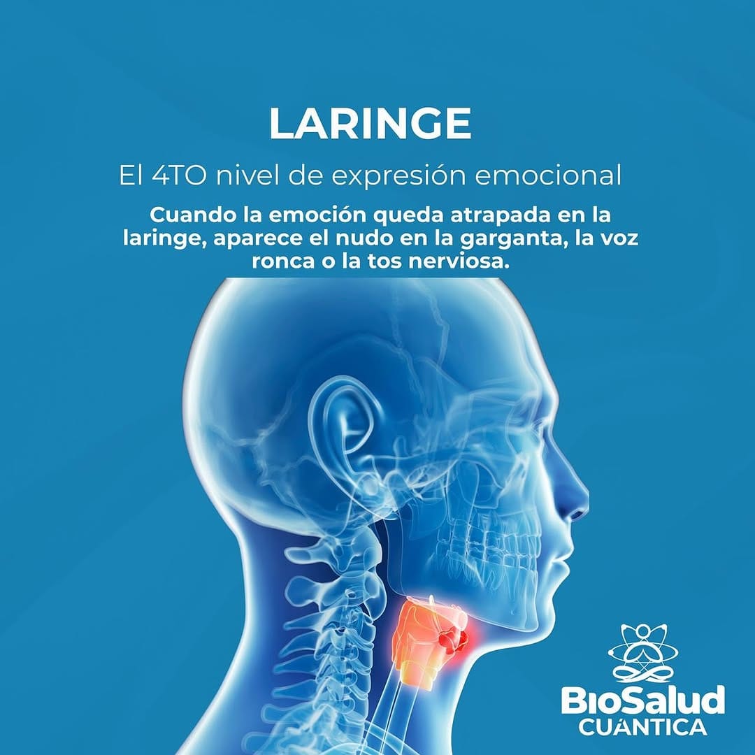 Post 7 by Biosalud Cuántica on Instagram (carousel)