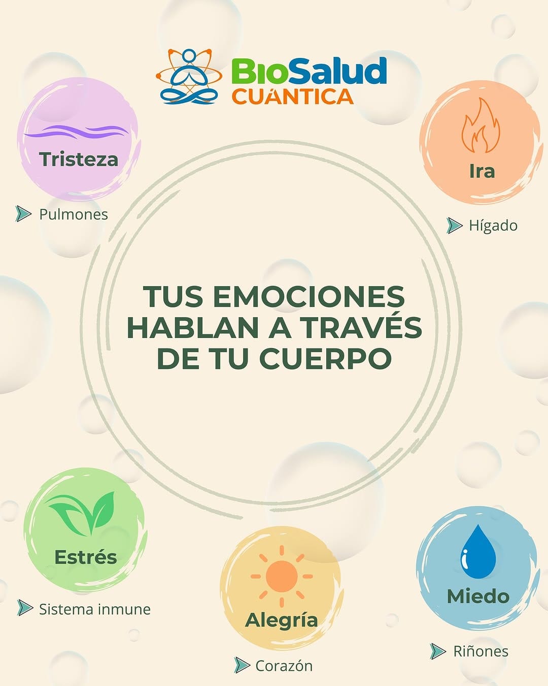 Post 8 by Biosalud Cuántica on Instagram (image)