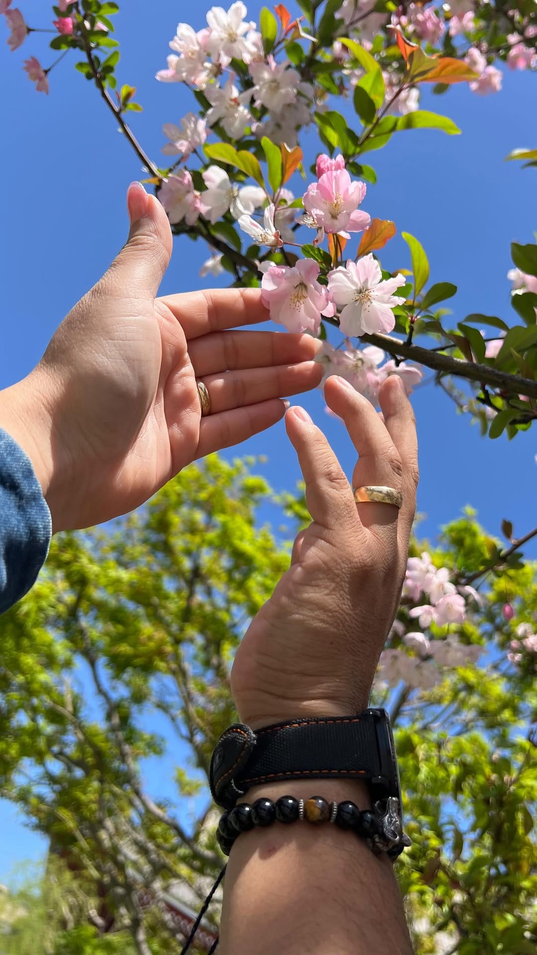 Post 5 by Brenda Zavalza 🇲🇽 on Instagram (video)