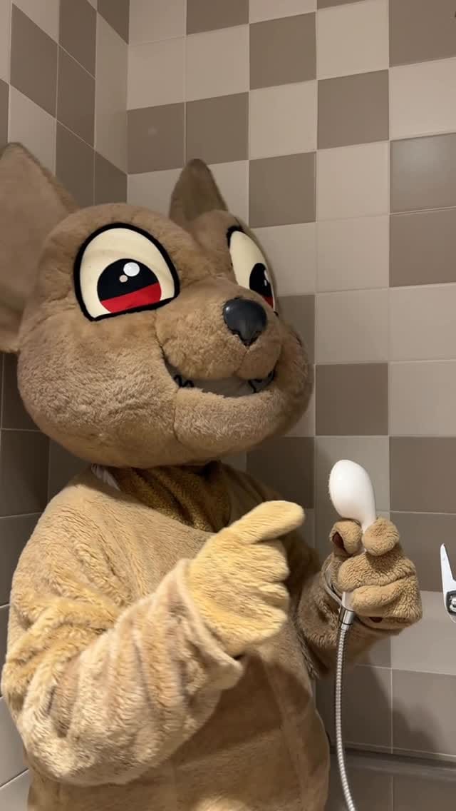 Post 3 by Chico on Instagram (video)