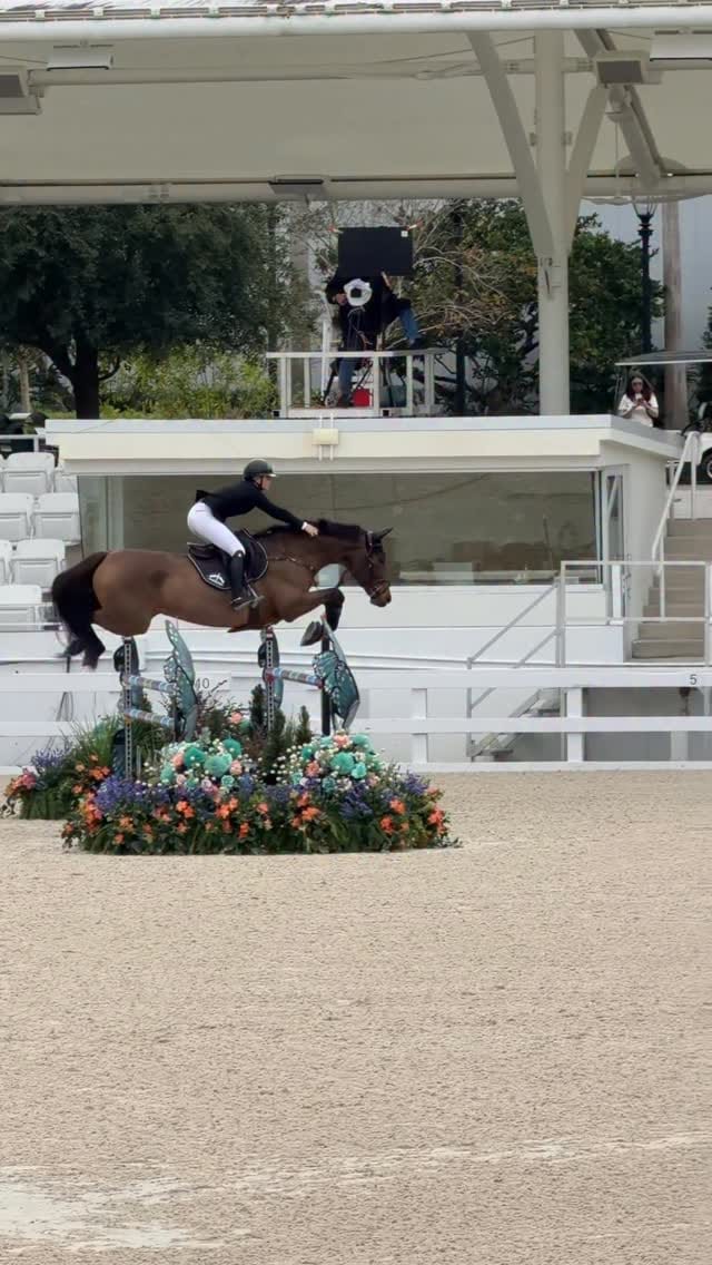 Post 5 by Maya Denis | Showjumper on Instagram (video)
