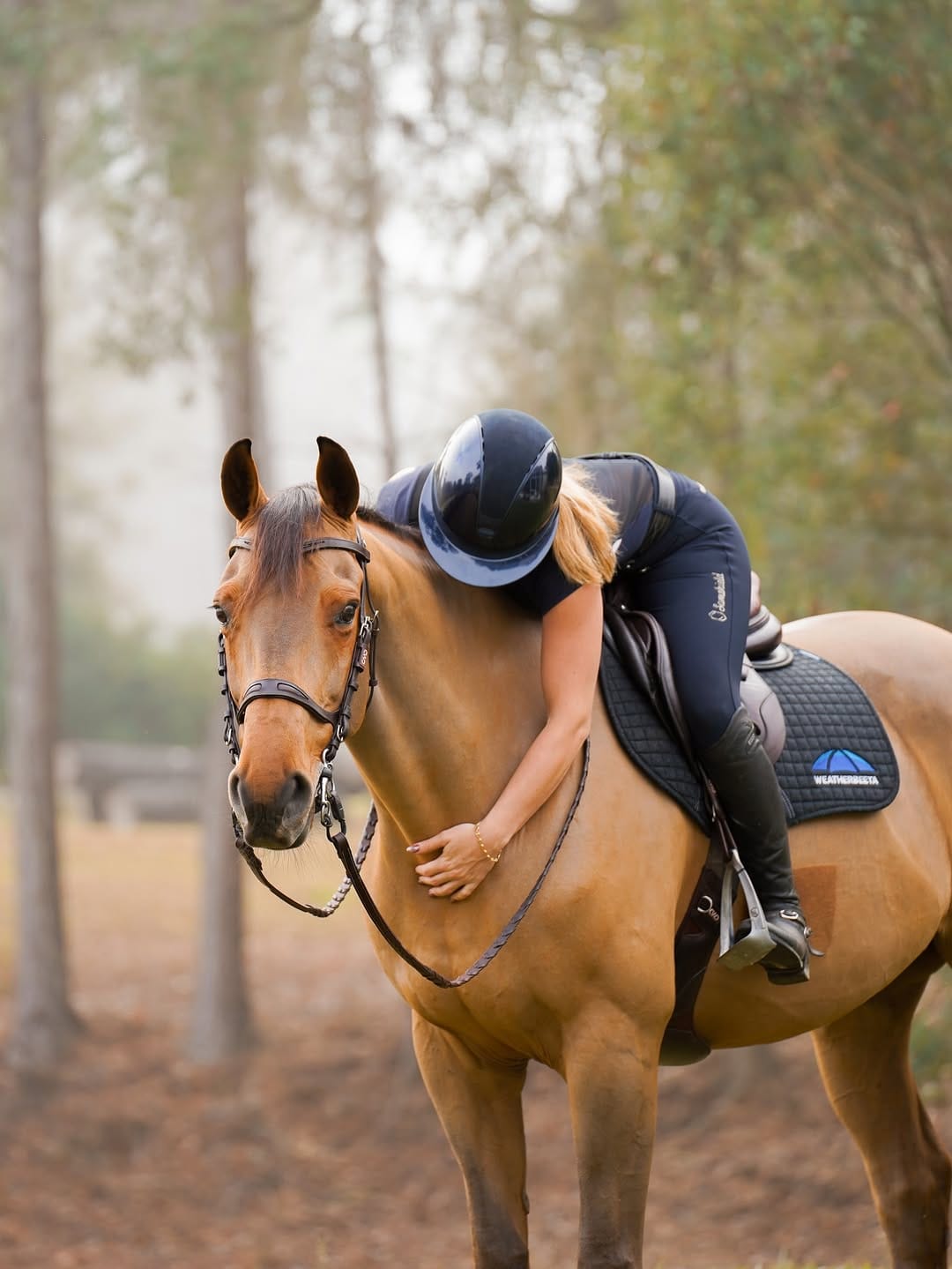 Post 4 by Maya Denis | Showjumper on Instagram (carousel)