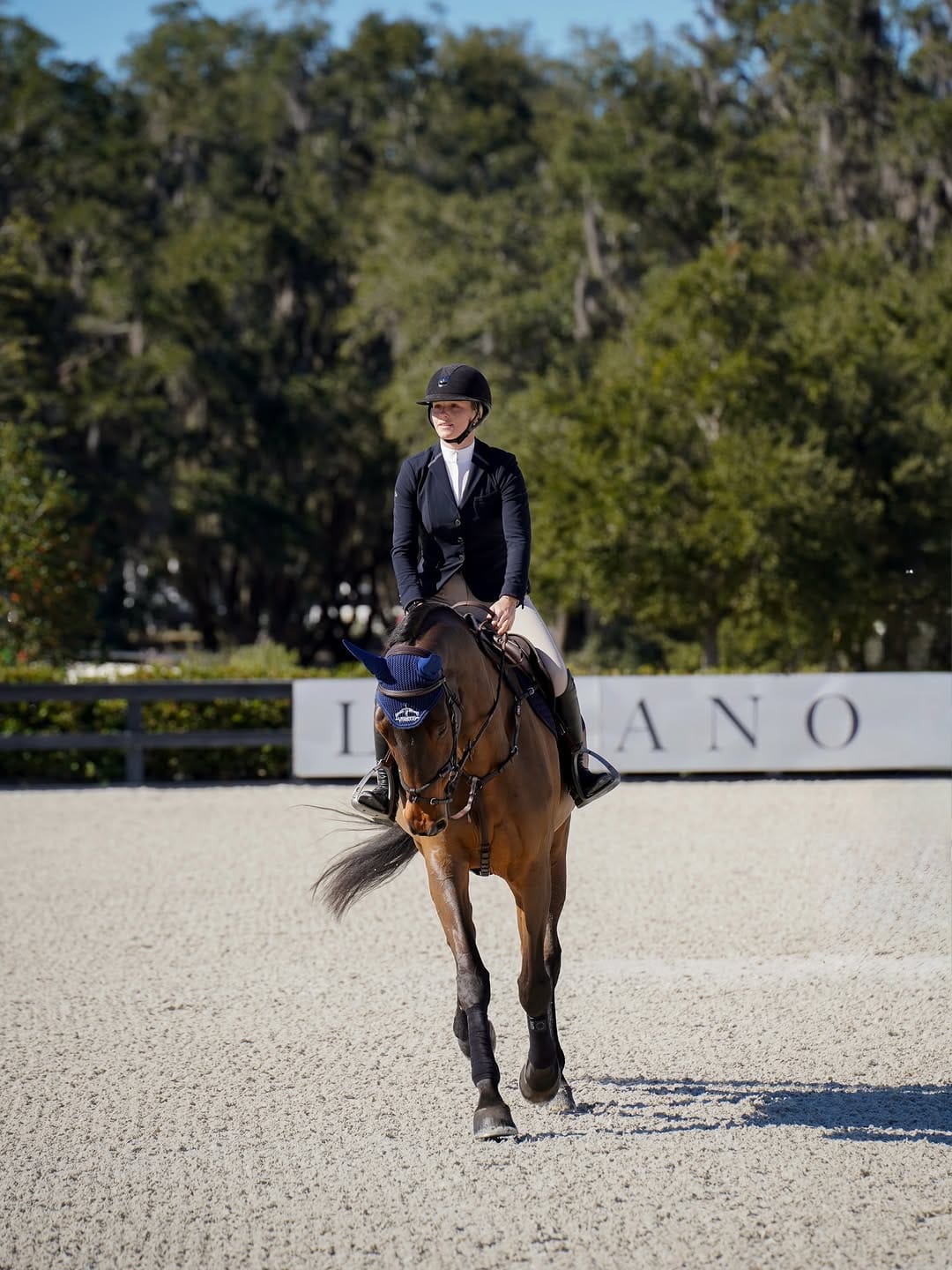 Post 7 by Maya Denis | Showjumper on Instagram (carousel)