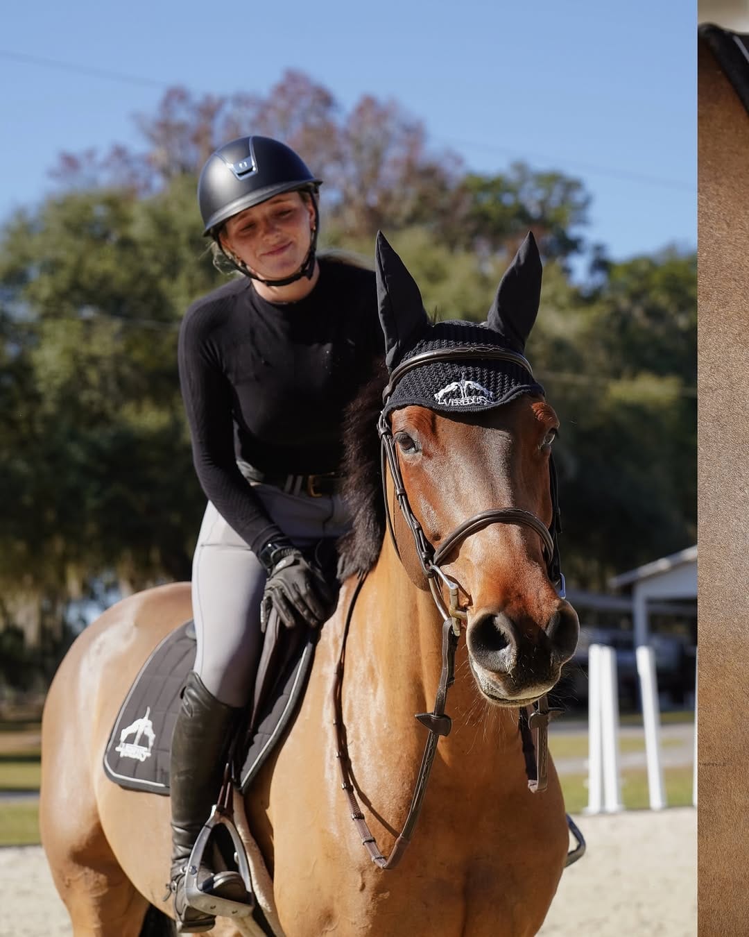 Post 10 by Maya Denis | Showjumper on Instagram (carousel)