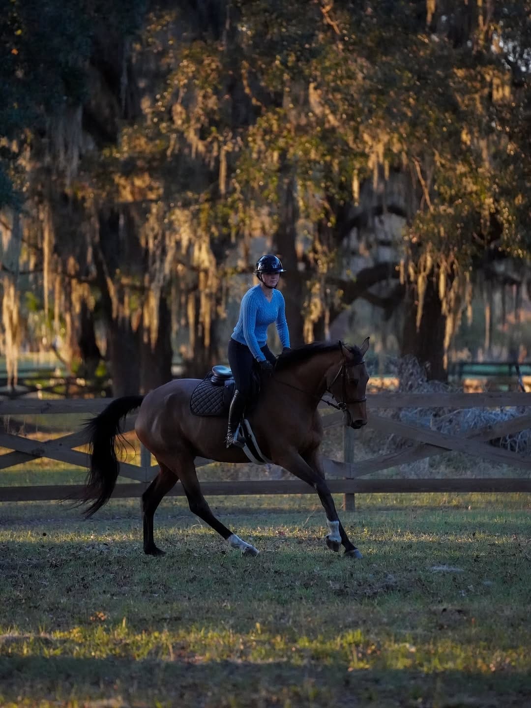 Post 3 by Maya Denis | Showjumper on Instagram (carousel)