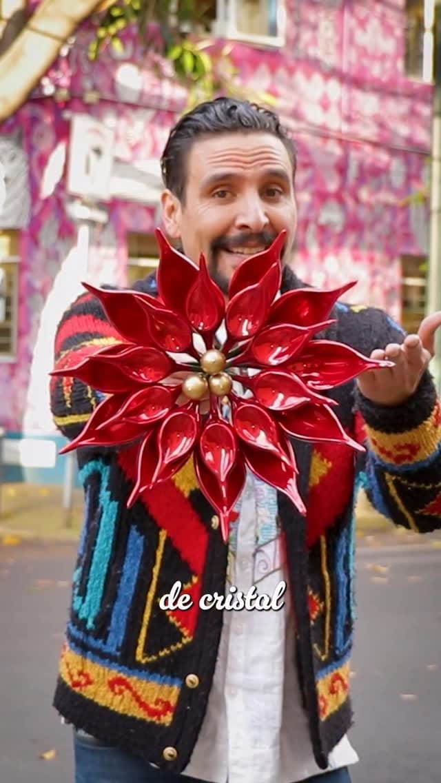 Post 9 by El Bonito Tianguis on Instagram (video)