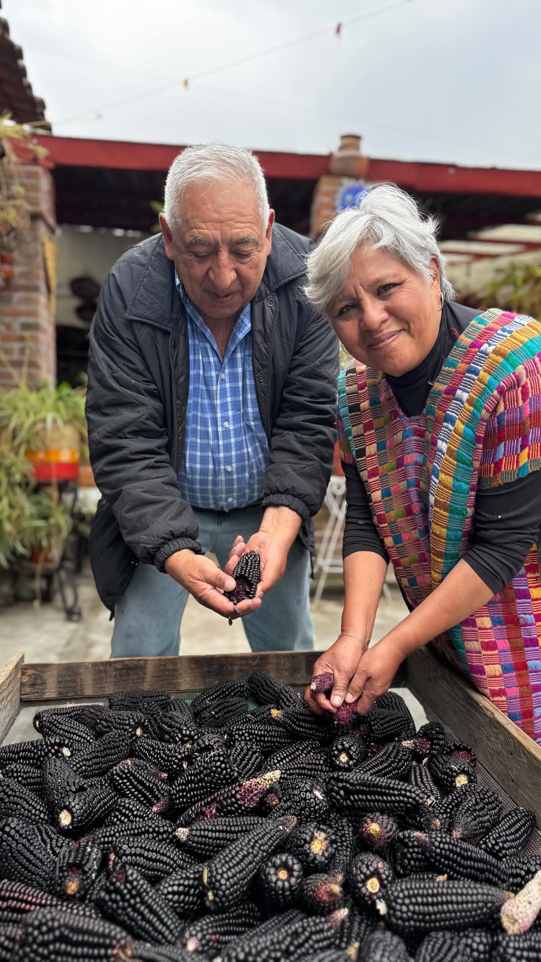 Post 6 by El Bonito Tianguis on Instagram (video)