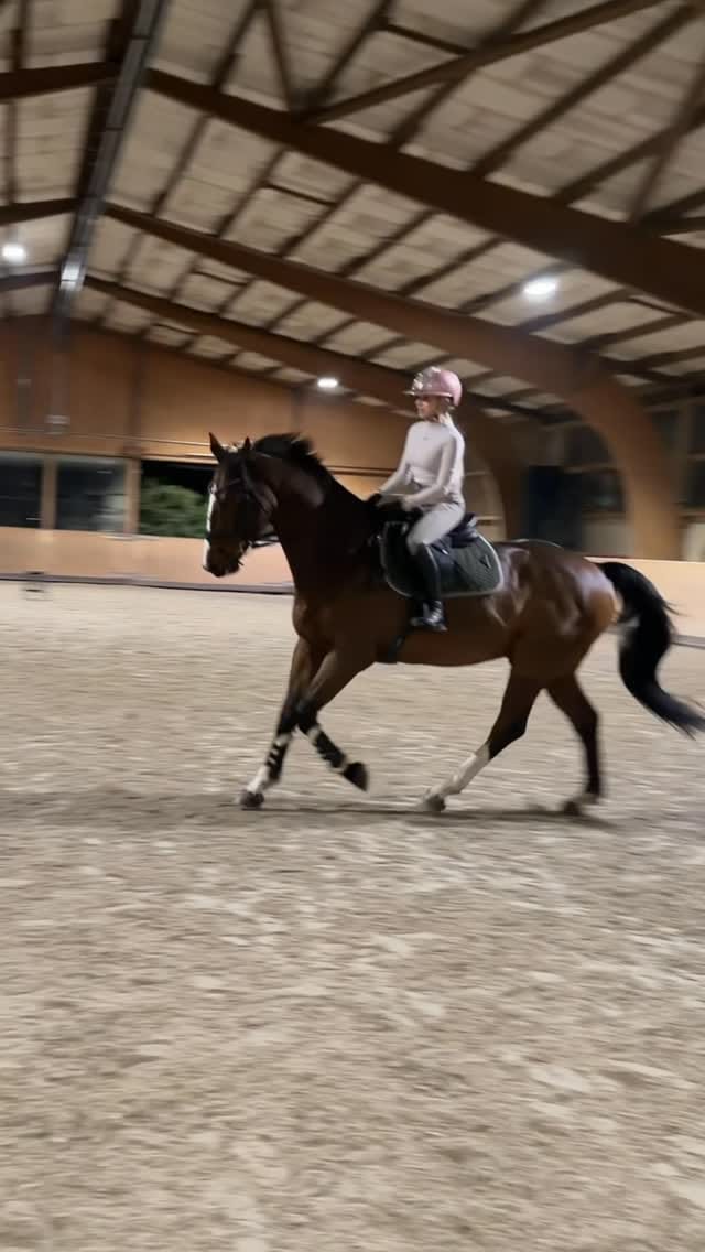 Post 3 by Léonie on Instagram (video)