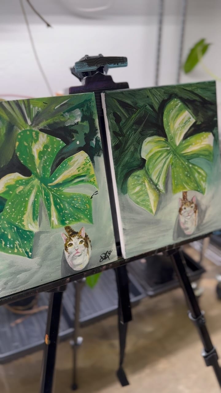 Post 7 by Mother Earth Garden on Instagram (video)
