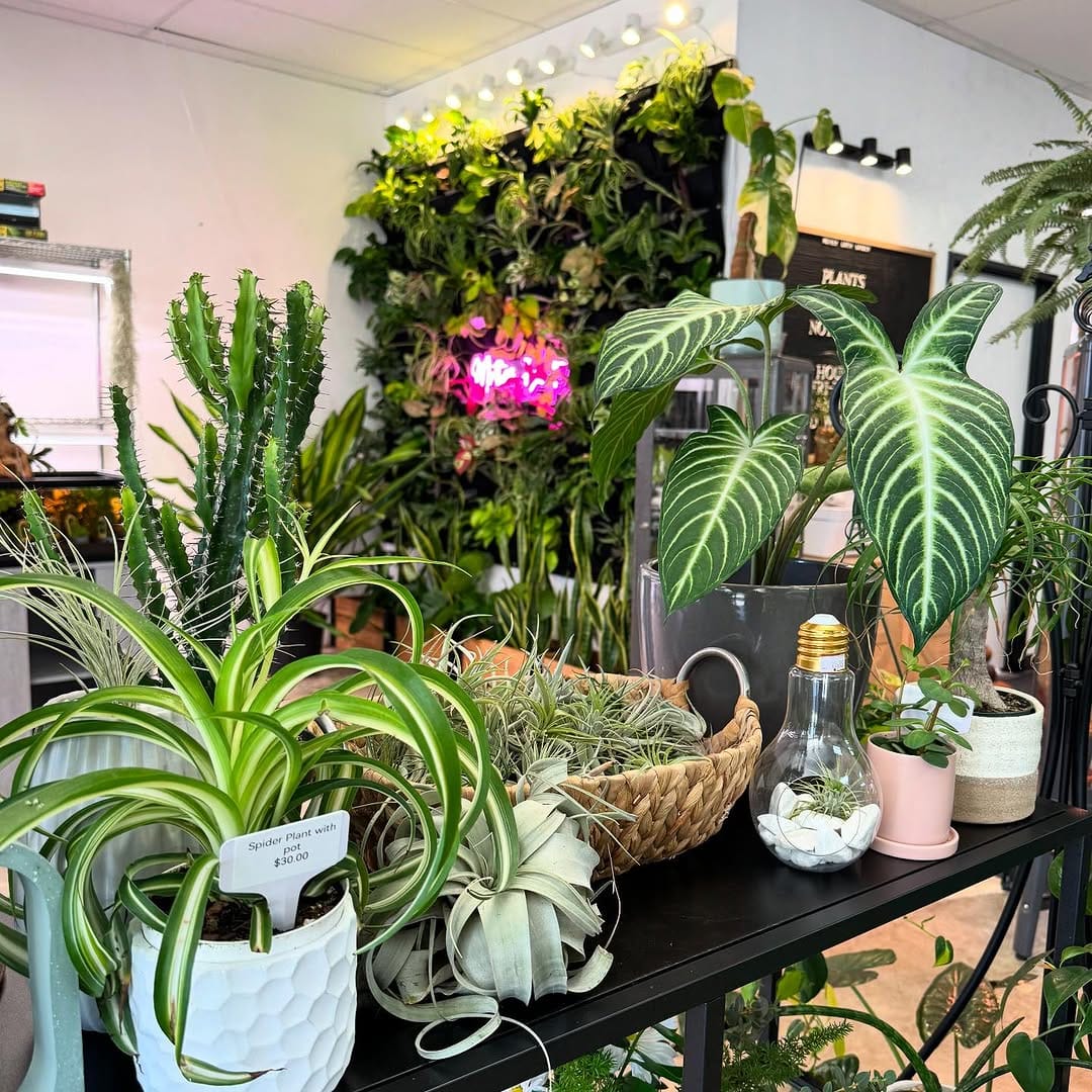 Post 10 by Mother Earth Garden on Instagram (carousel)