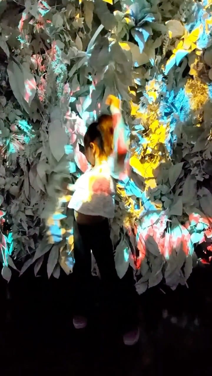 Post 8 by Auroragram on Instagram (video)
