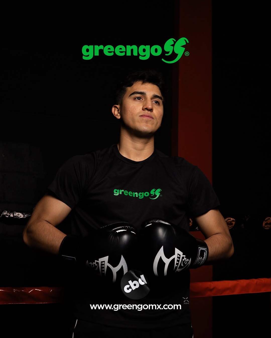 Post 2 by Greengo México on Instagram (image)