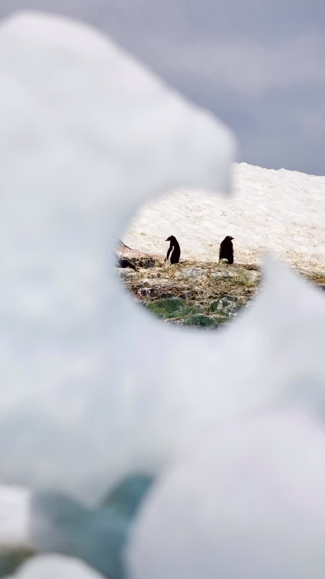 Post 4 by Ivonne Frid/ Fotógrafa profesional on Instagram (video)