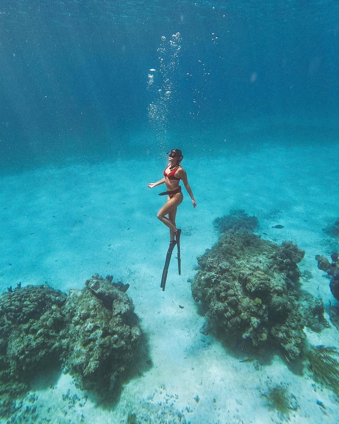 Post 8 by Lisa Homsy on Instagram (image)