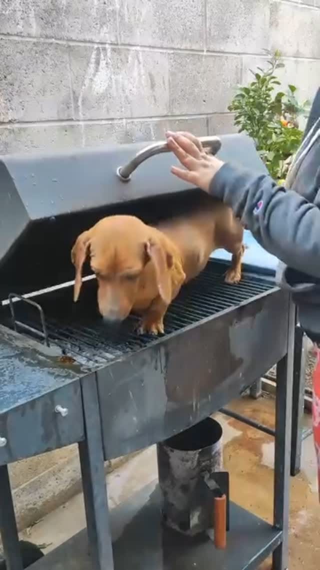 Post 4 by Guso Valdés on Instagram (video)