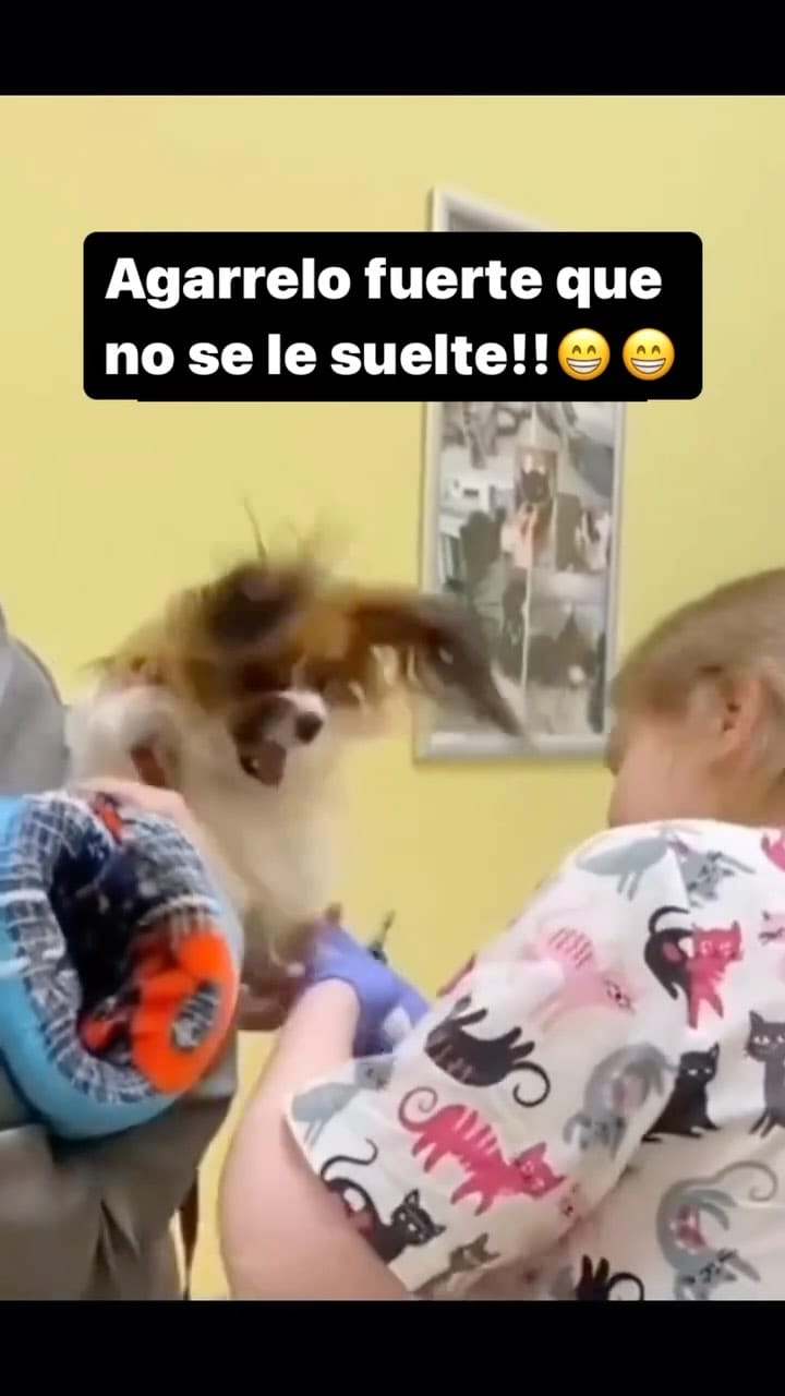 Post 9 by Guso Valdés on Instagram (video)