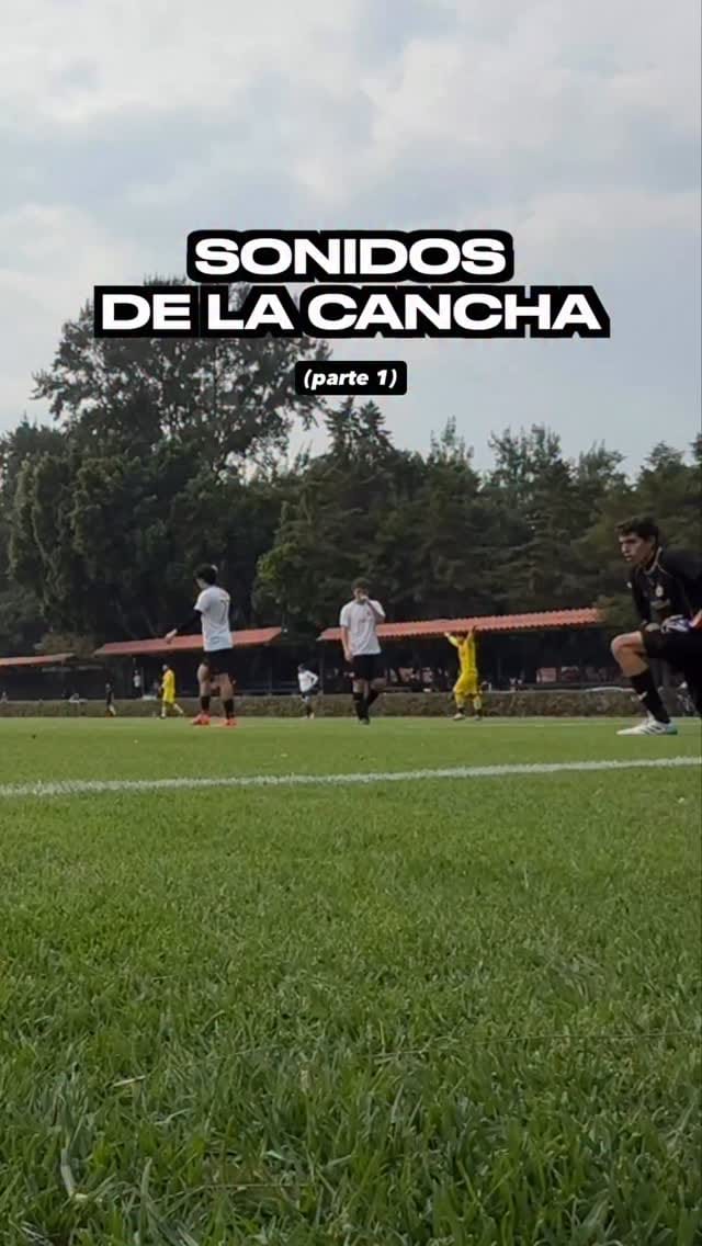 Post 8 by Rodolfo Pichardini⚡️ on Instagram (video)