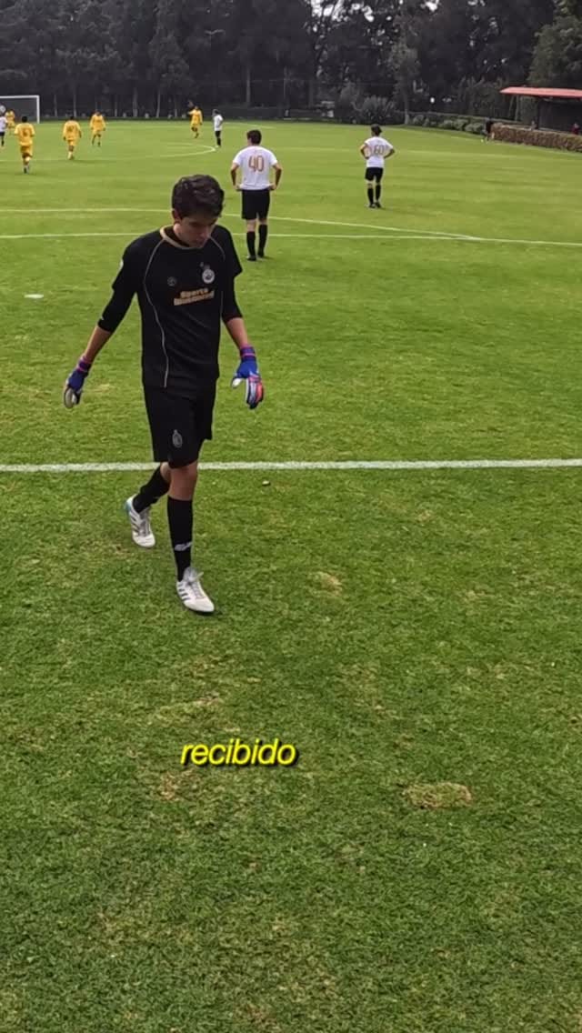 Post 6 by Rodolfo Pichardini⚡️ on Instagram (video)