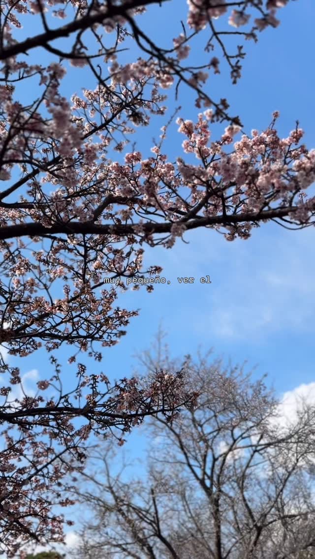 Post 3 by Flavio Felipe Morales Escobosa on Instagram (video)