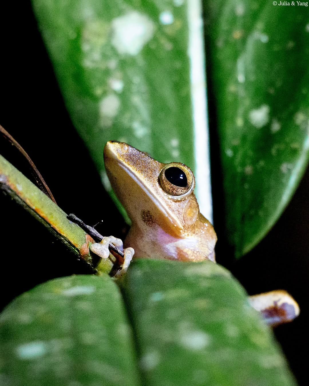 Post 7 by 📸 TwoBehindTheLens Wildlife Photography — by Julia & Yang ✨️ on Instagram (image)