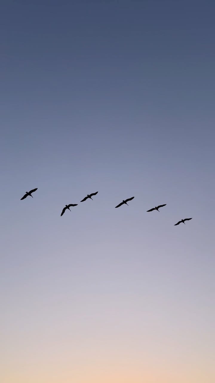 Post 10 by Sheila | Travel & Music 🌊🎶 on Instagram (video)