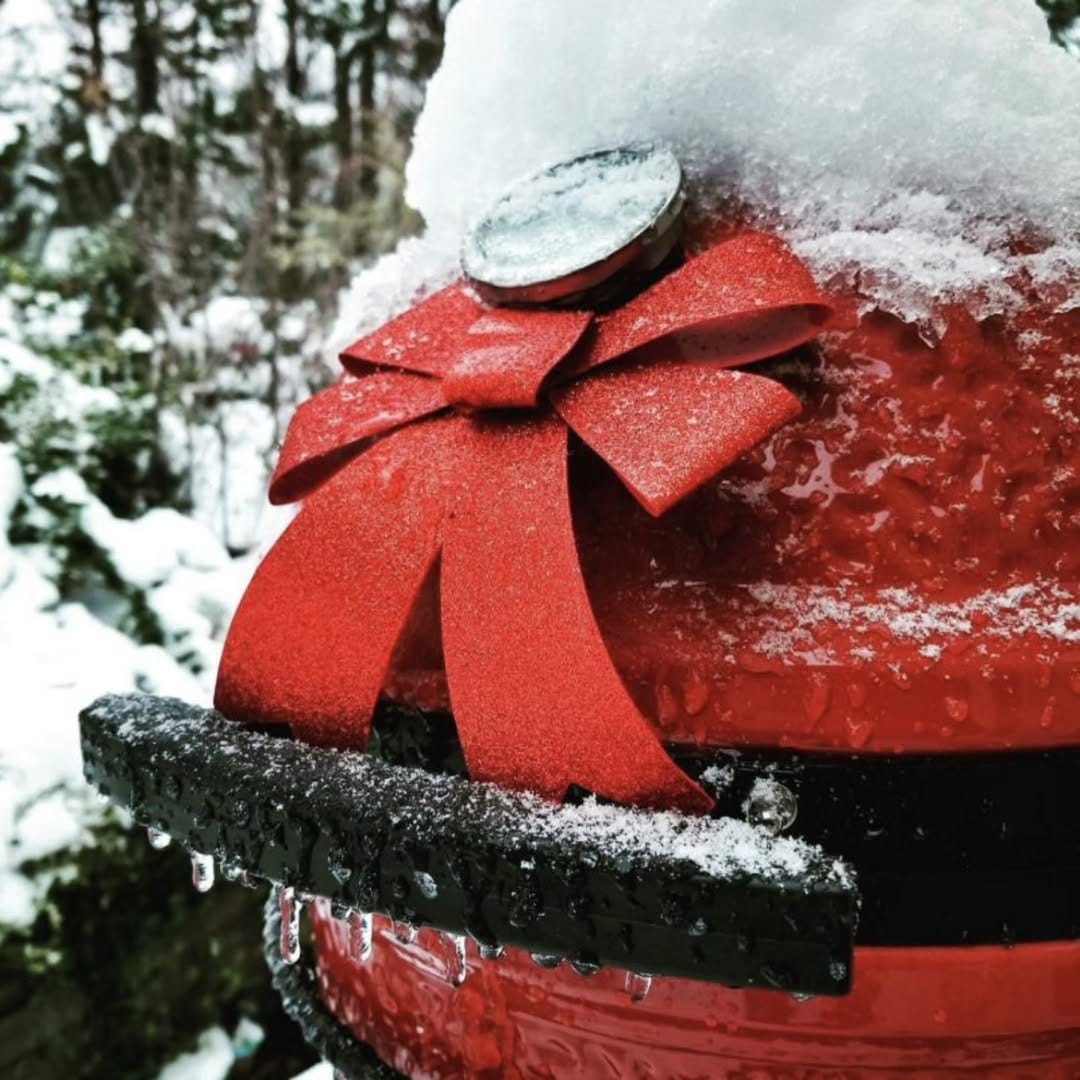 Post 5 by Great Outdoors BBQ Co on Instagram (image)