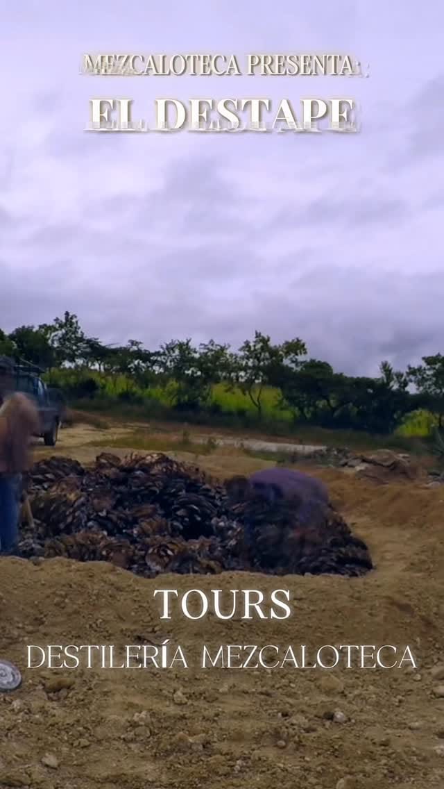 Post 10 by Mezcaloteca on Instagram (video)