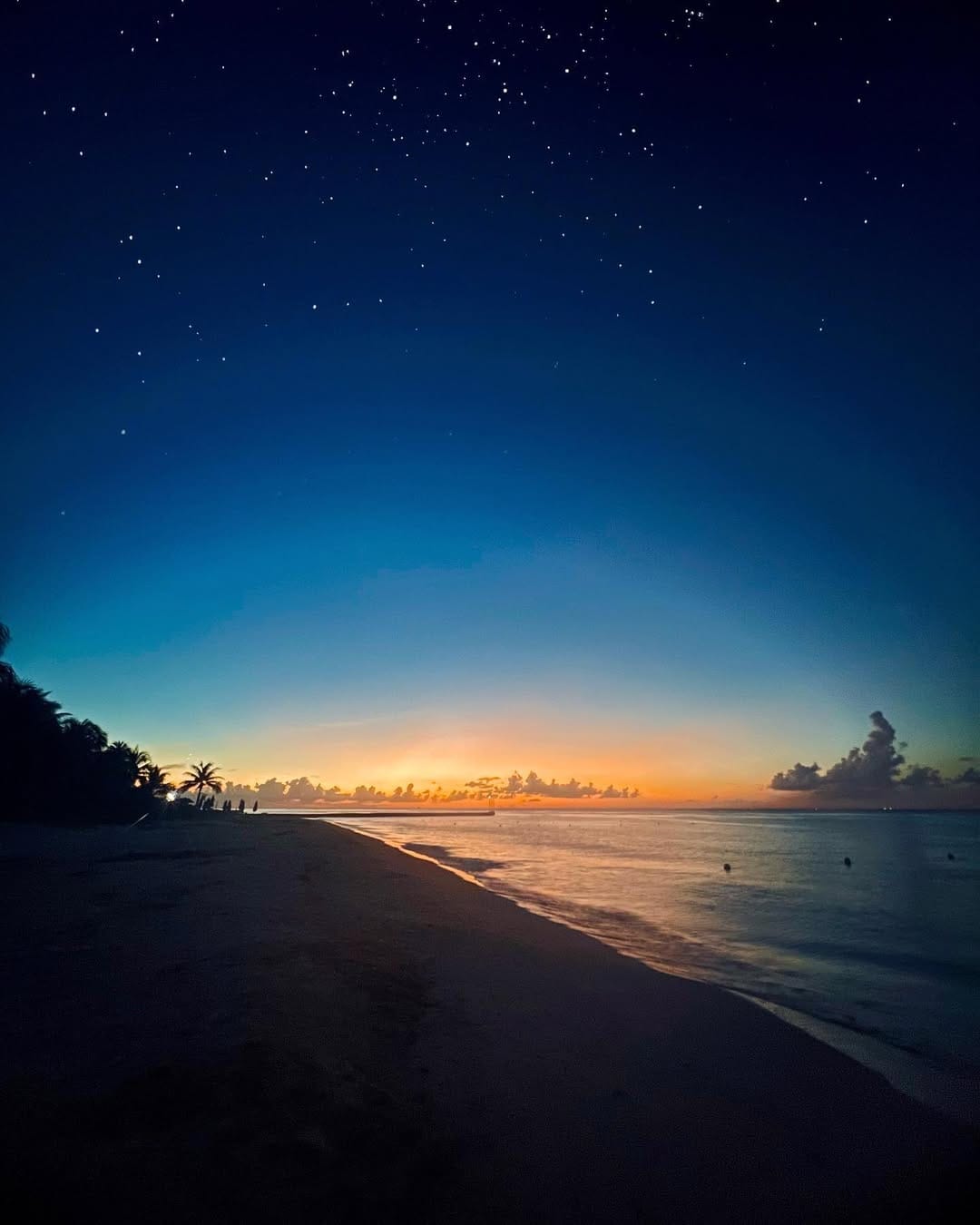 Post 10 by Daniel Montoya on Instagram (image)