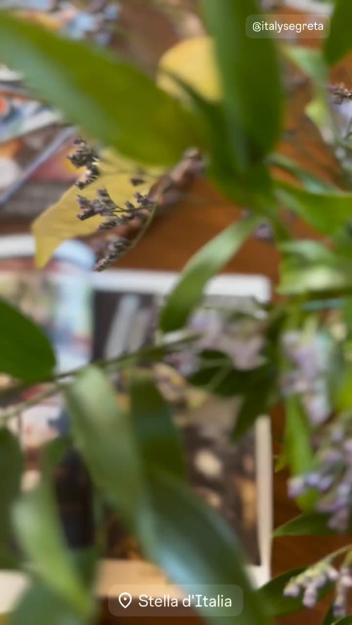 Post 4 by Flò de Palma on Instagram (video)