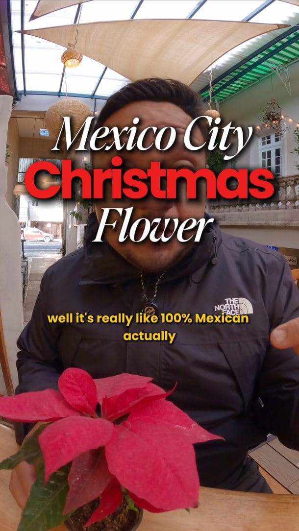 Post 3 by Food Hood Mexico on Instagram (video)