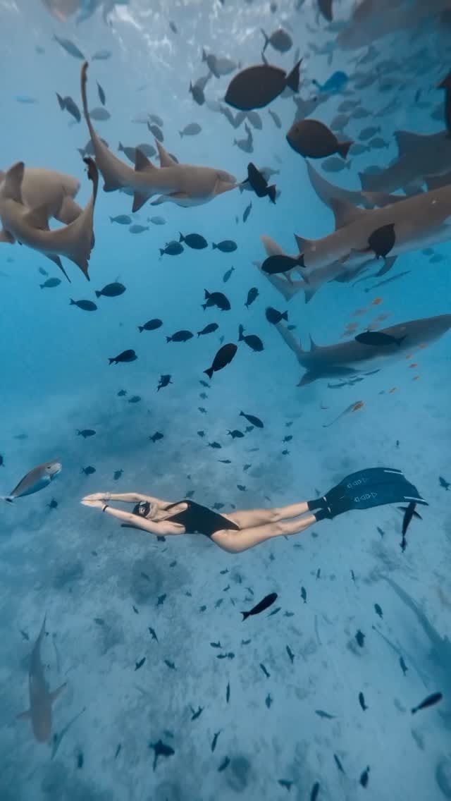 Post 8 by Yanita Yancheva on Instagram (video)