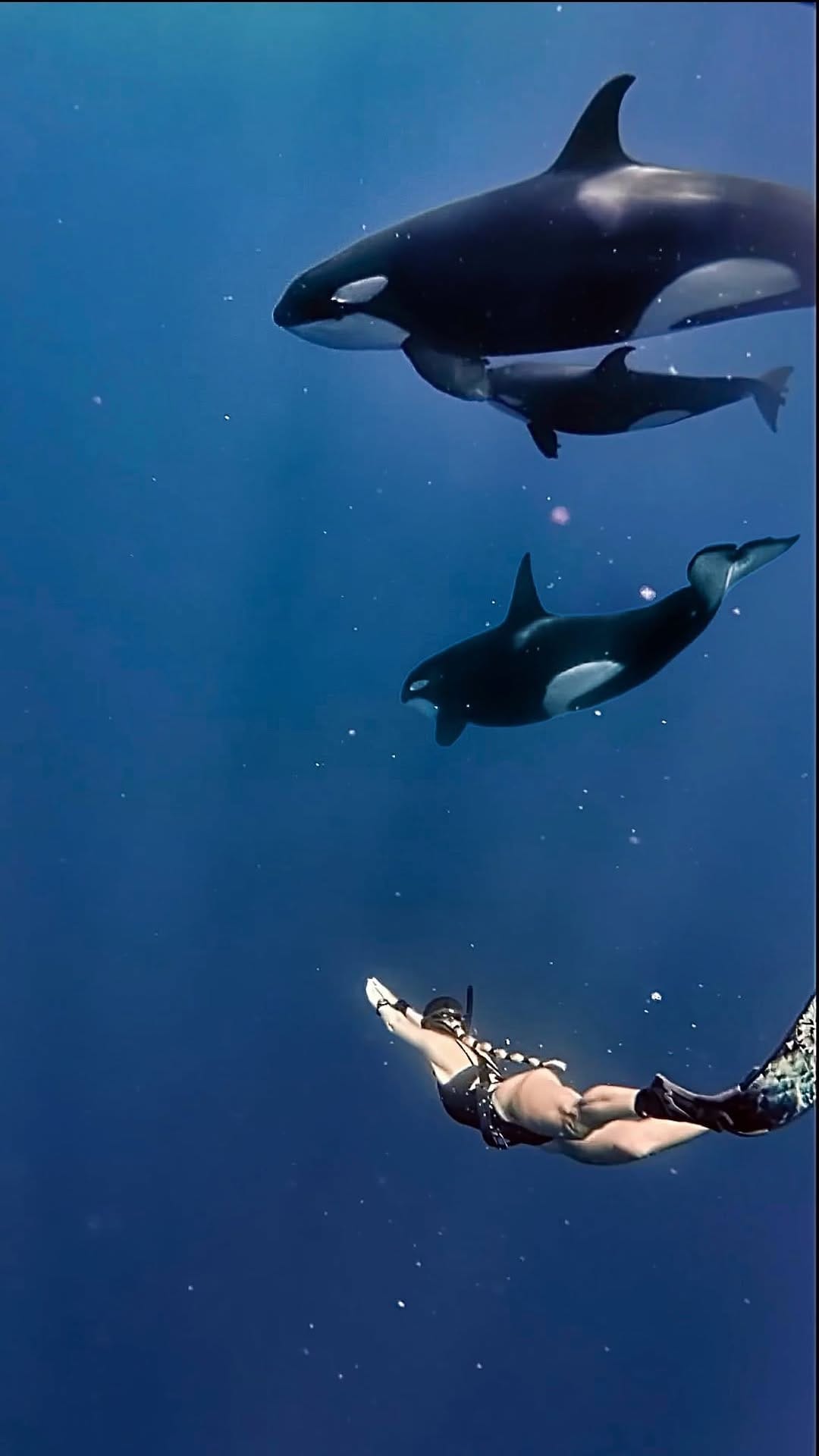 Post 10 by Yanita Yancheva on Instagram (video)