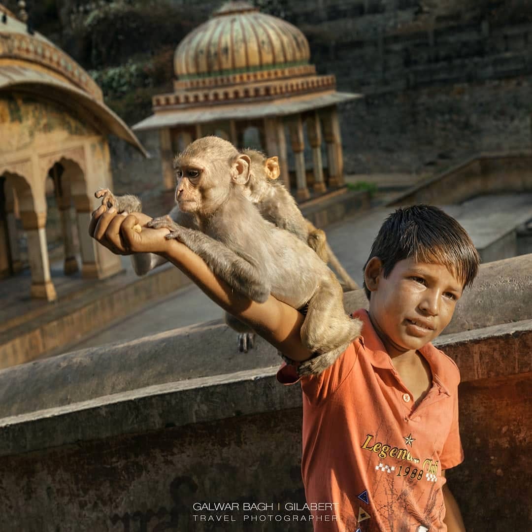 Post 2 by Gilabert fotografo on Instagram (image)