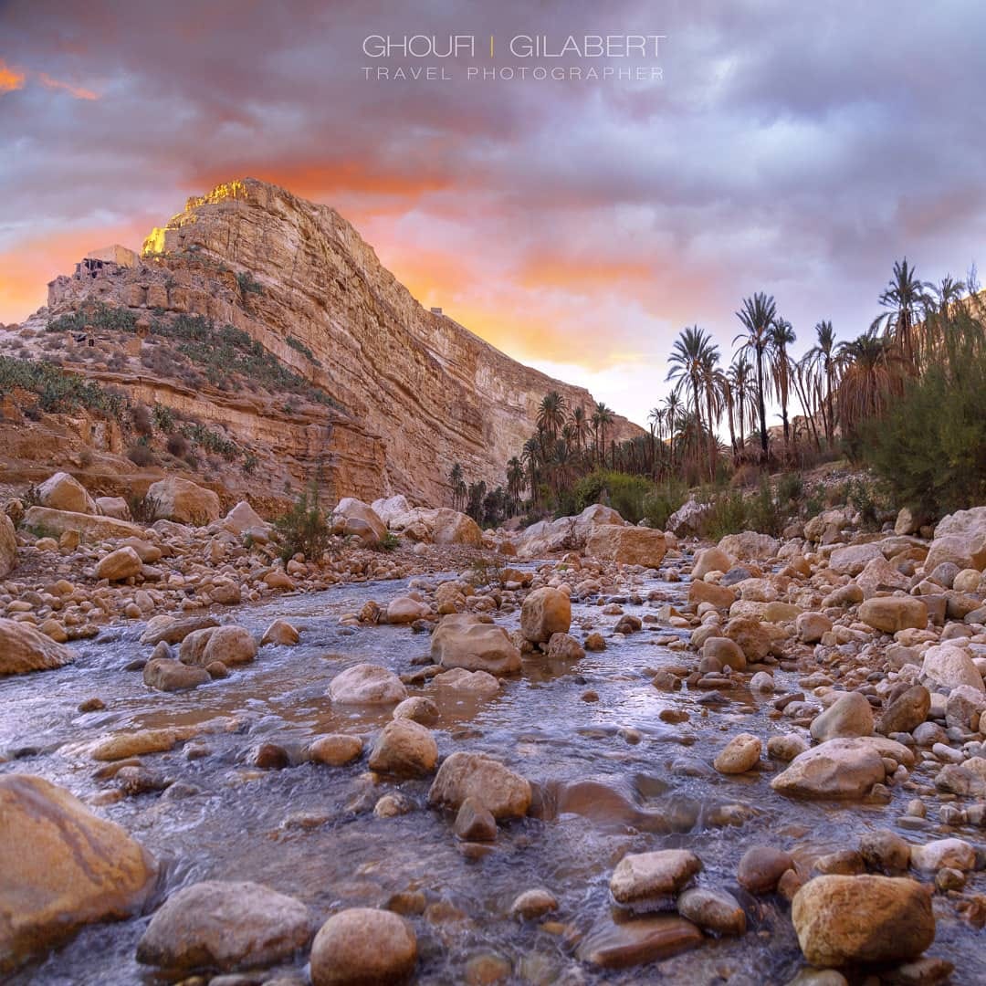 Post 5 by Gilabert fotografo on Instagram (image)