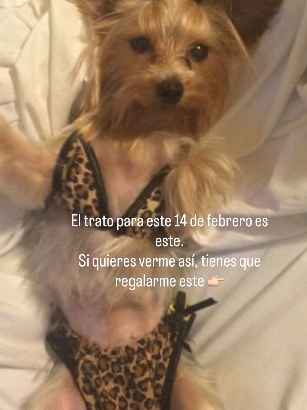 Post 4 by Tienda de maquillaje y skincare ♡ on Instagram (carousel)
