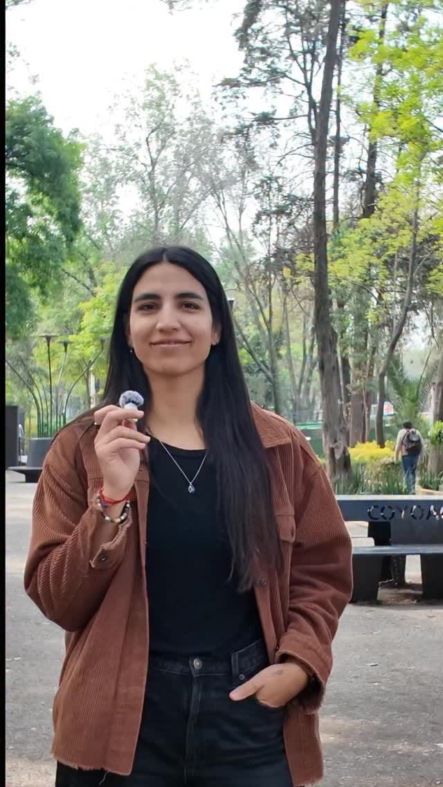 Post 5 by entiii | suplementos para tu bienestar on Instagram (video)