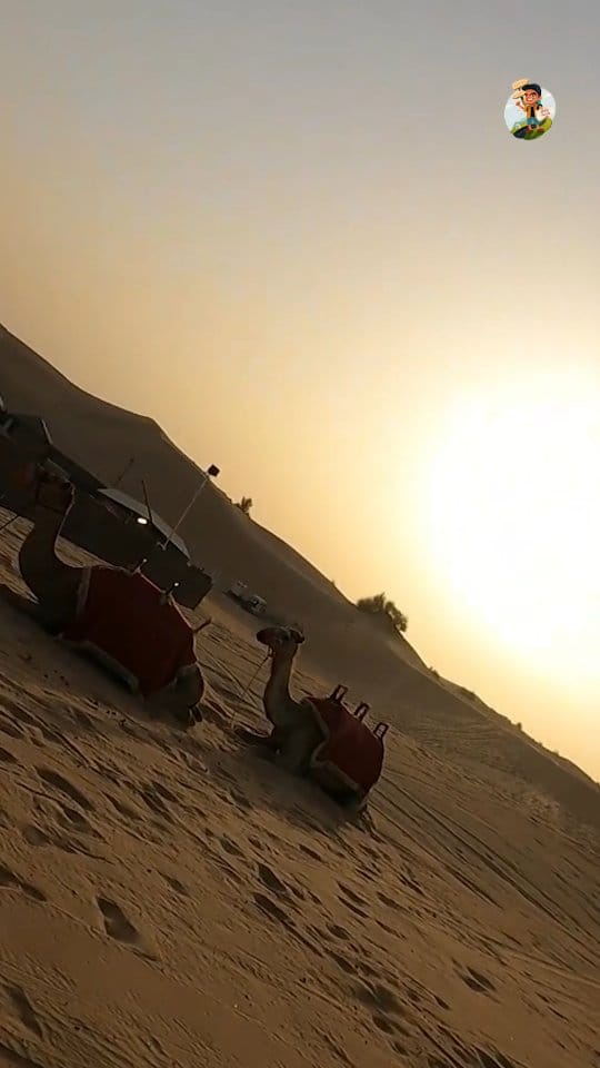 Post 2 by Bhuvanidharan on Instagram (video)