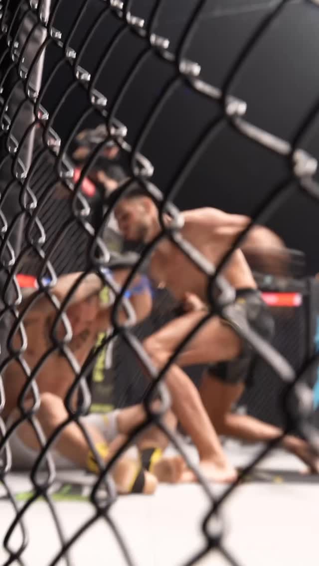 Post 7 by Most Wanted on Instagram (video)
