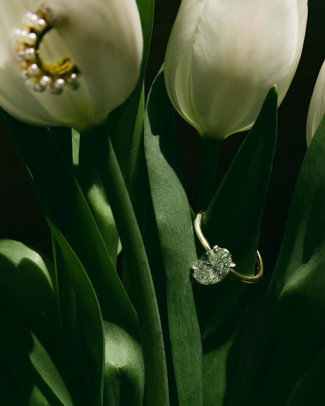 Post 5 by Mackenzie Smith-Austin Wedding Photographer on Instagram (carousel)