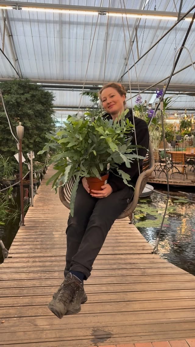 Post 1 by Kriesten in Leonberg - Schönes für Haus & Garten on Instagram (video)