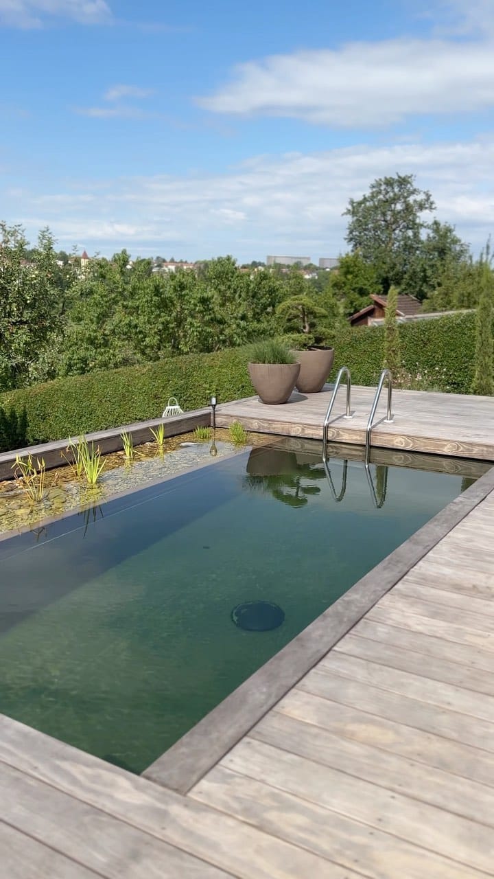 Post 9 by Kriesten in Leonberg - Schönes für Haus & Garten on Instagram (video)
