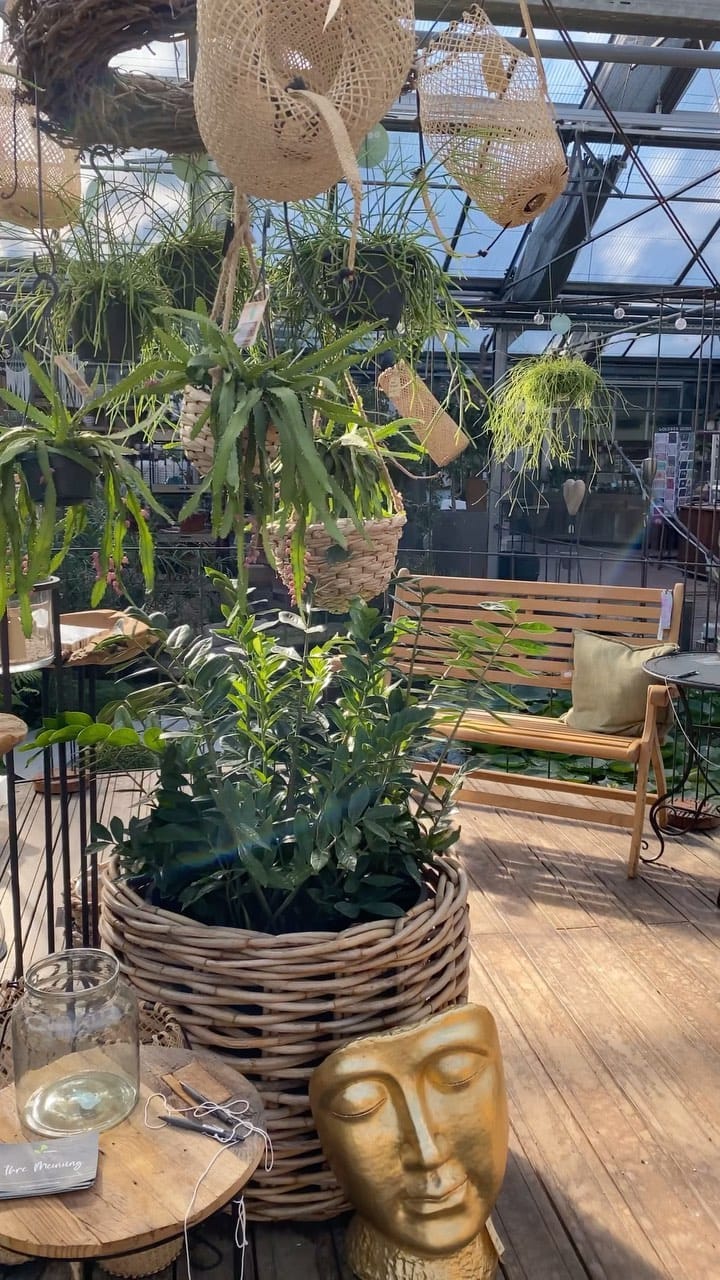 Post 10 by Kriesten in Leonberg - Schönes für Haus & Garten on Instagram (video)