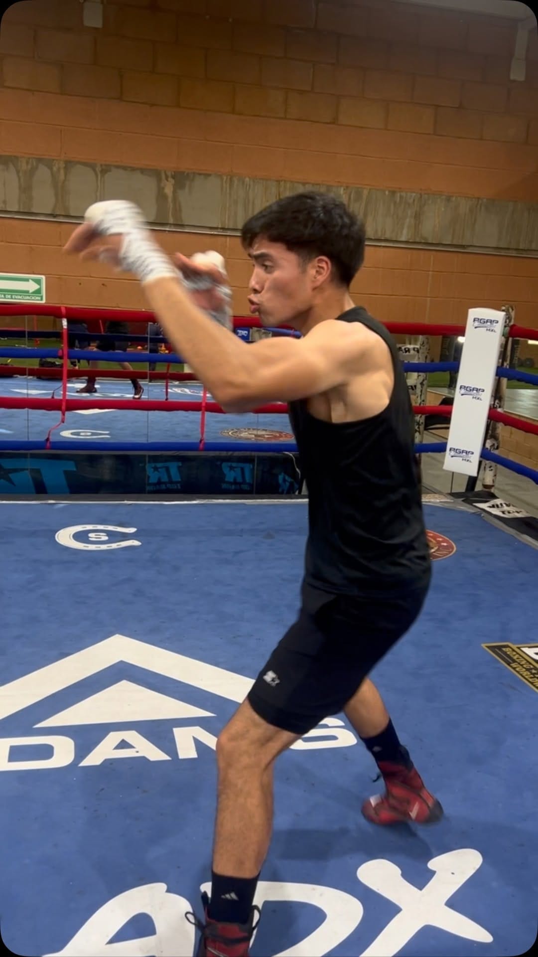 Post 10 by Sergio Piña on Instagram (video)