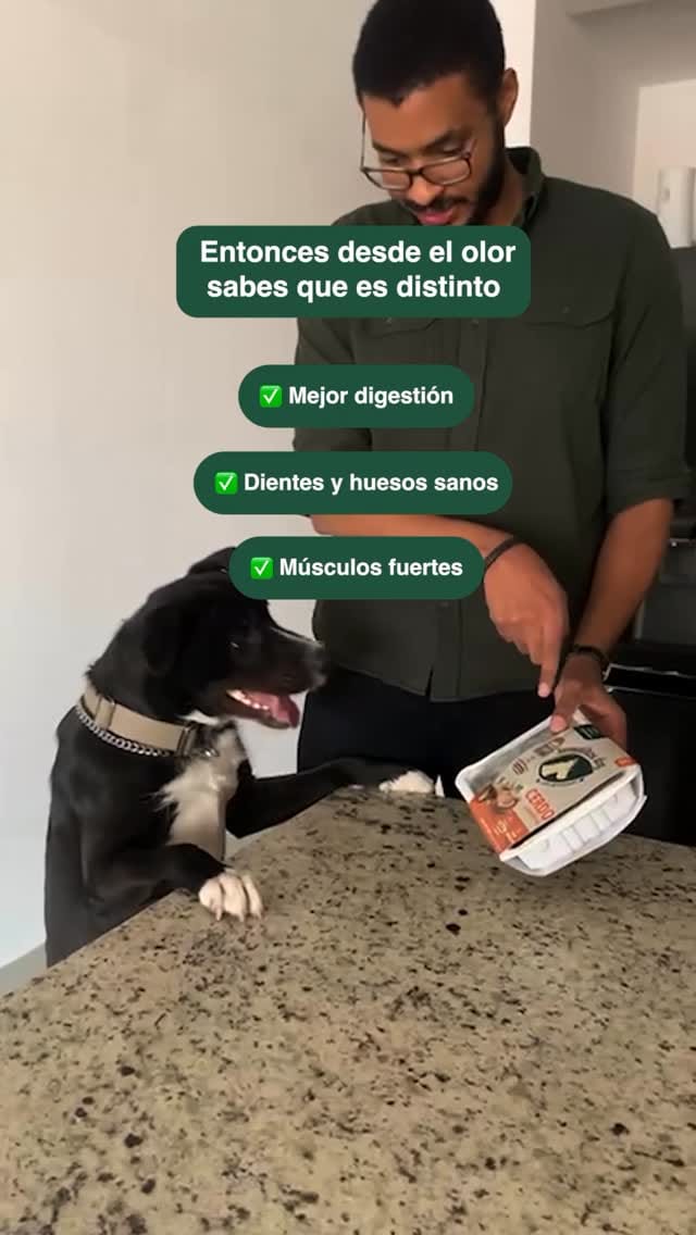 Post 6 by Tamalitosdog on Instagram (video)