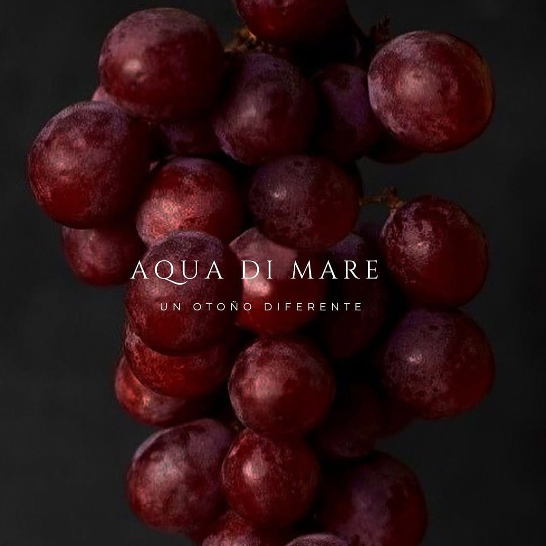 Post 5 by AQUA DI MARE ® on Instagram (image)