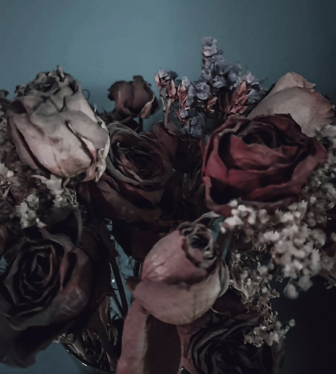 Post 5 by Irina Alexandra on Instagram (image)