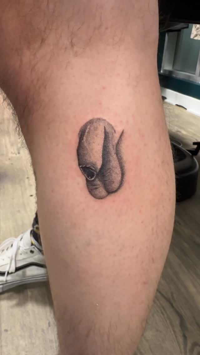 Post 6 by 𝕮𝖗𝖊𝖜𝖘𝖔𝖓𝖙 on Instagram (video)