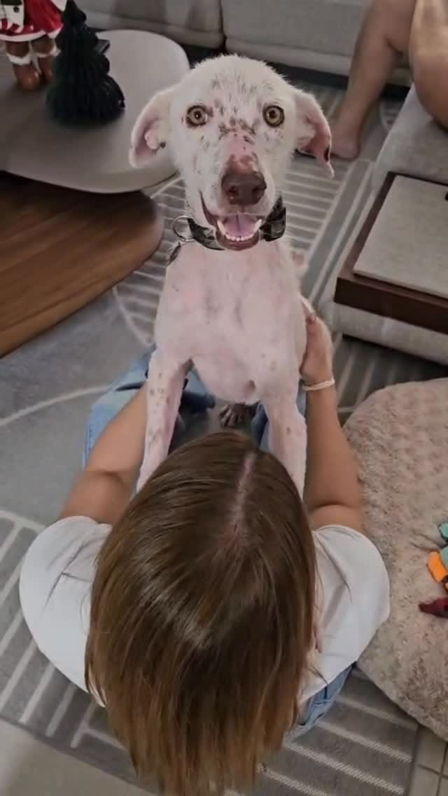 Post 6 by Elaine Leone on Instagram (video)
