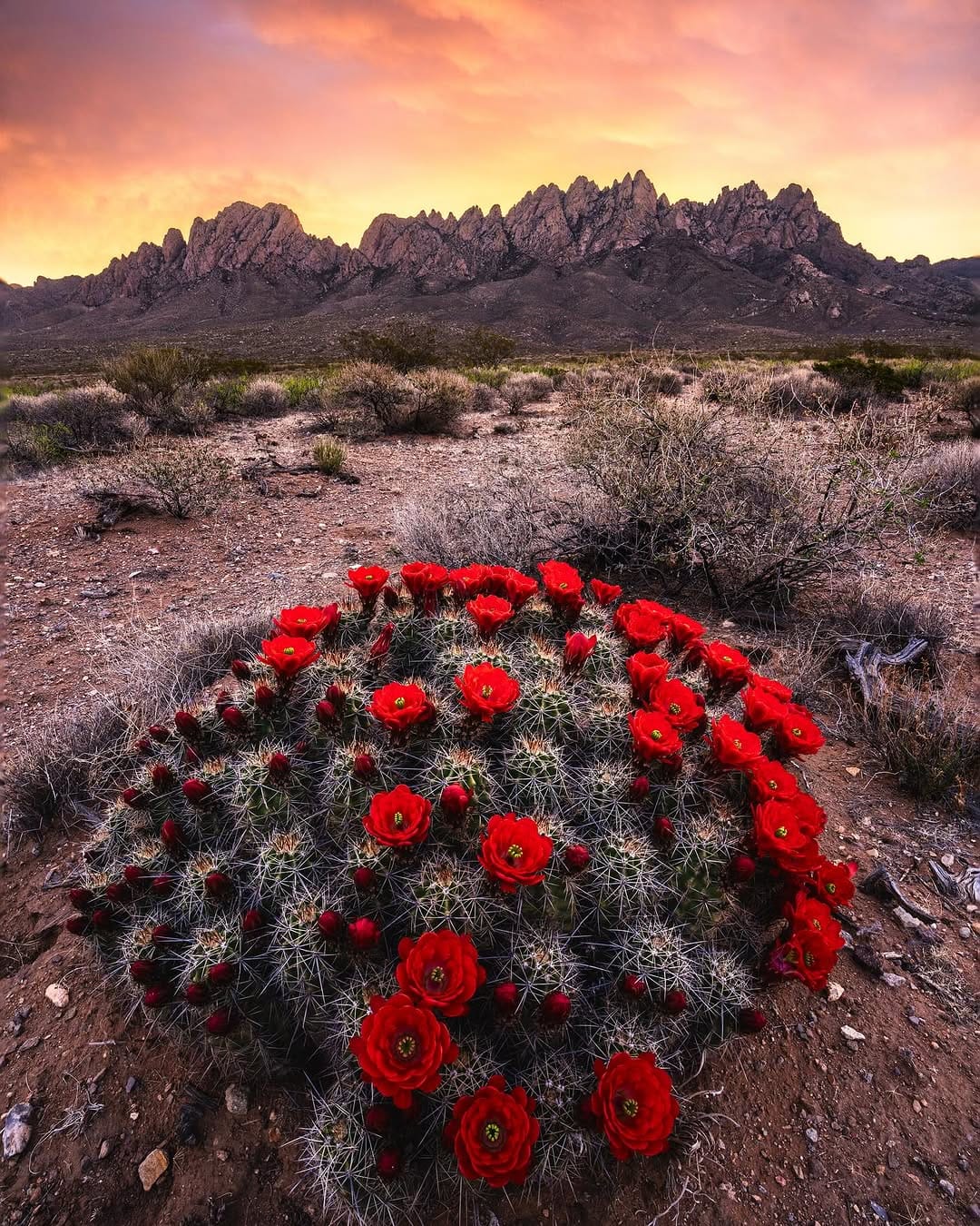 Post 8 by Aaron B. || Travel & Landscape on Instagram (image)
