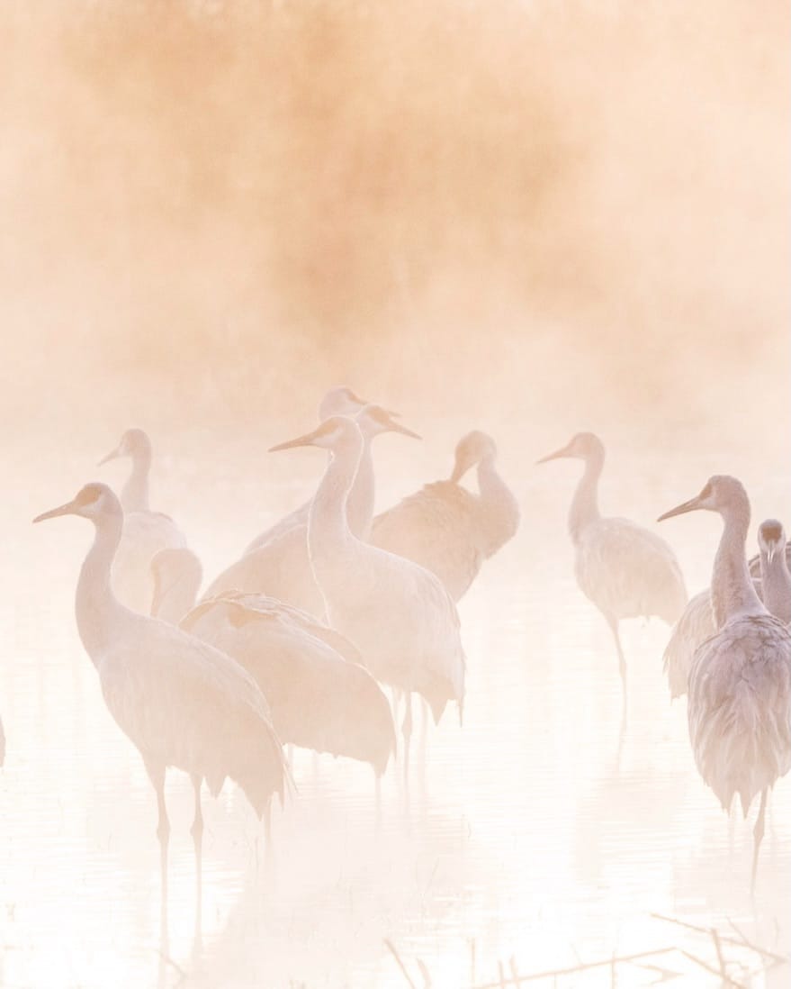 Post 2 by Aaron B. || Travel & Landscape on Instagram (carousel)